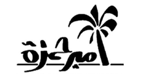 Zia-e-ameer Hamza  Travel and Tour